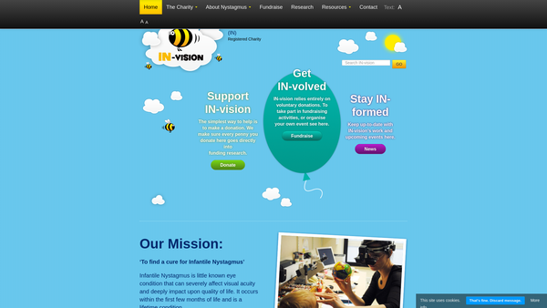 Screenshot of the In-Vision website