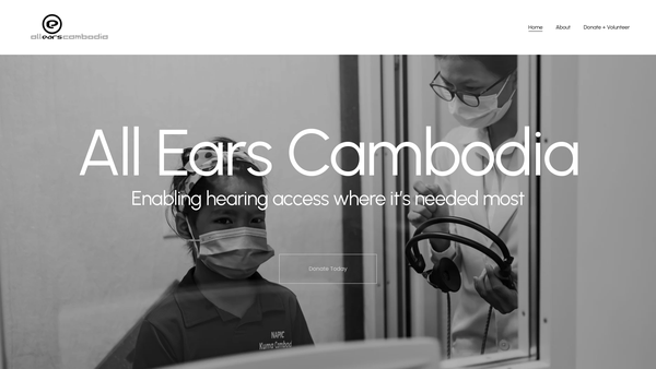 Screenshot of the All Ears International website