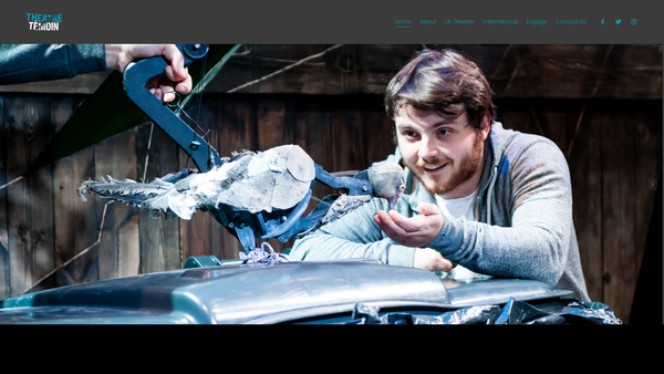 Screenshot of the Theatre Temoin Limited website