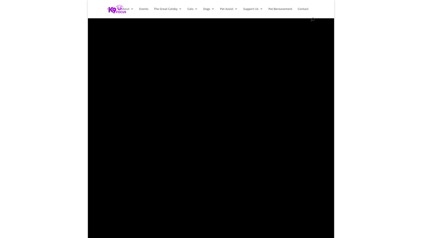 Screenshot of the K9focus Ltd website