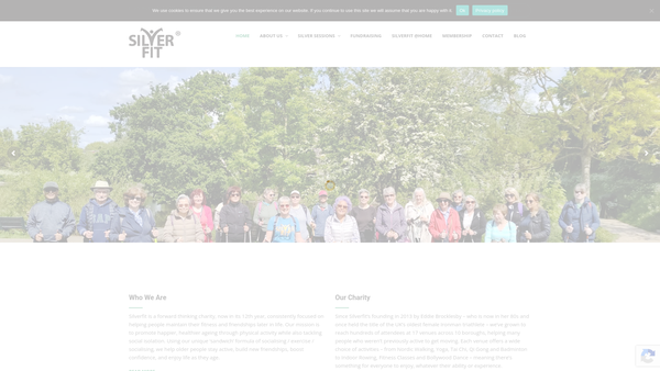 Screenshot of the Silverfit Ltd website