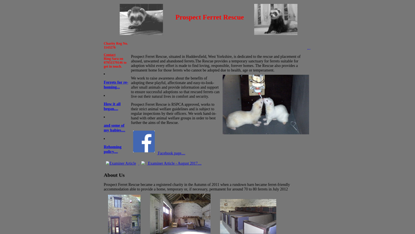 Screenshot of the Prospect Ferret Rescue website