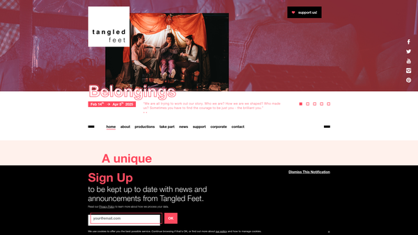 Screenshot of the Tangled Feet Limited website
