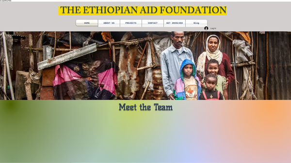 Screenshot of the The Ethiopian Aid Foundation website