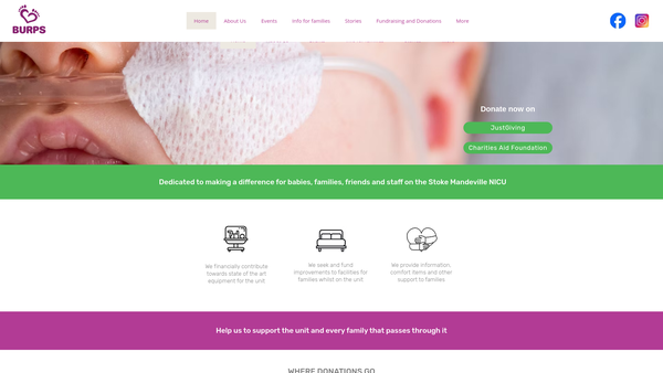 Screenshot of the Baby Unit, Relatives And Parents Support website