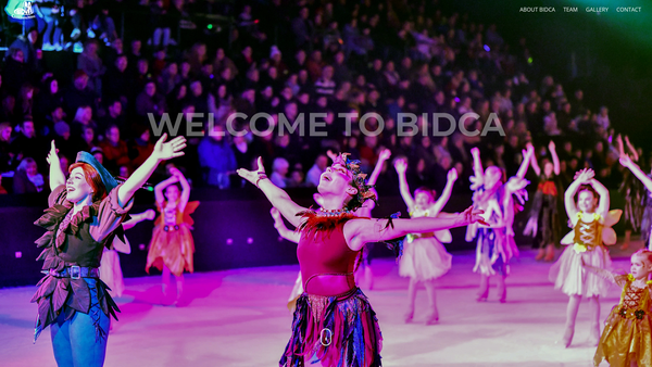 Screenshot of the Blackpool Ice Drome Charities Association website