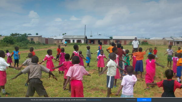 Screenshot of the Thamani Youth Of Africa website