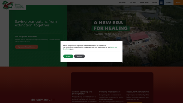 Screenshot of the Borneo Orangutan Survival UK website