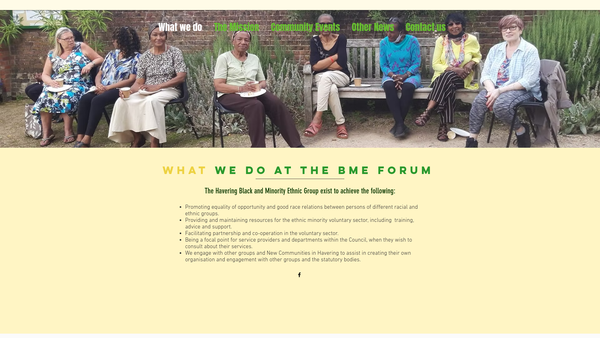 Screenshot of the Together for Equity website