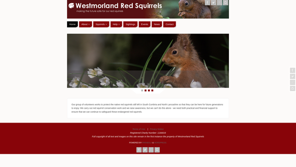 Screenshot of the Westmorland Red Squirrel Society website