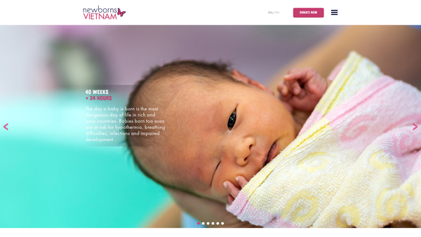 Screenshot of the Newborns Vietnam website