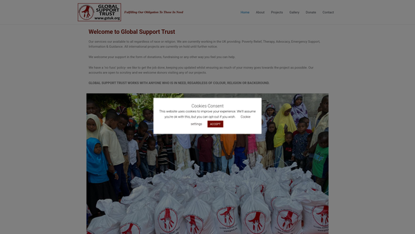 Screenshot of the Global Support Trust website