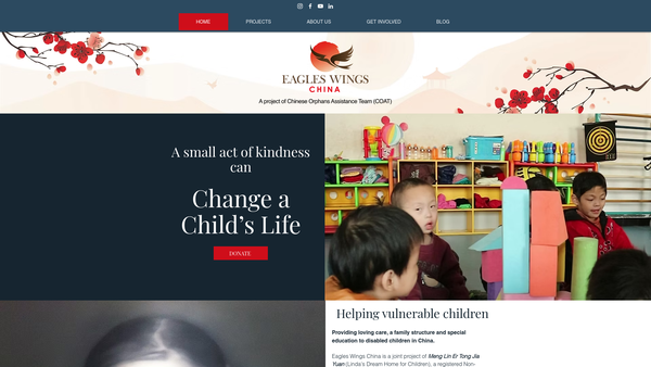 Screenshot of the Chinese Orphans Assistance Team (Coat) UK website