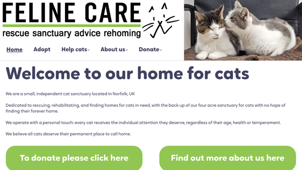Screenshot of the Feline Care website
