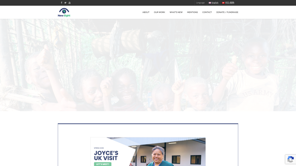 Screenshot of the New Sight U.K. website