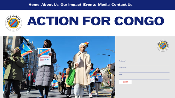 Screenshot of the Action For Congo's Mothers And Children website