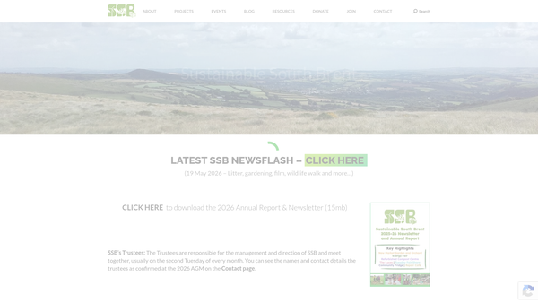 Screenshot of the Sustainable South Brent website