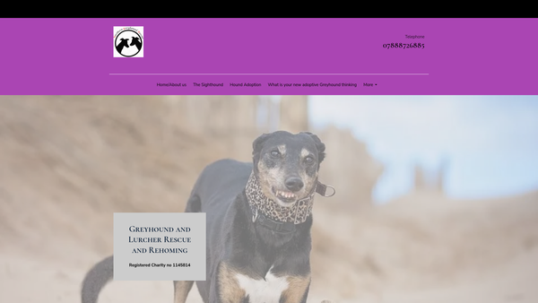 Screenshot of the Northern Greyhound Rescue website