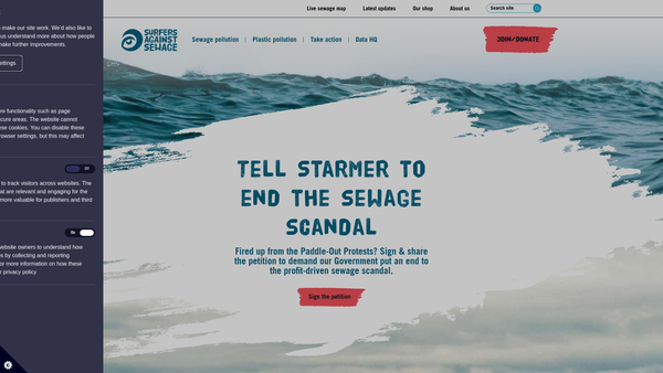 Screenshot of the Surfers Against Sewage website