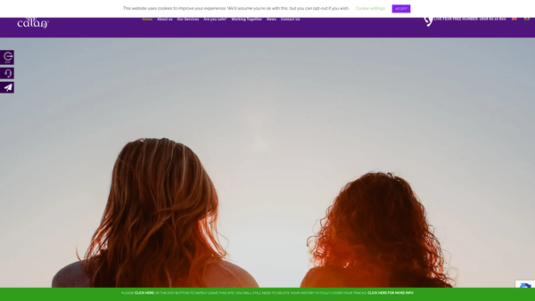 Screenshot of the Calan Dvs website
