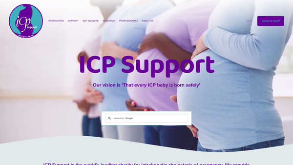 Screenshot of the Icp Support website
