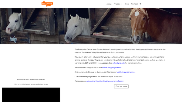 Screenshot of the The Enterprise Centre Limited website