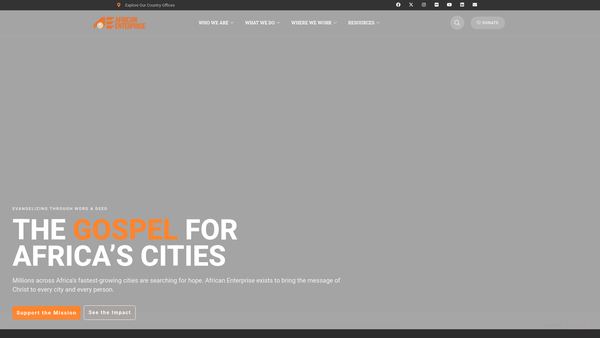Screenshot of the African Enterprise International website