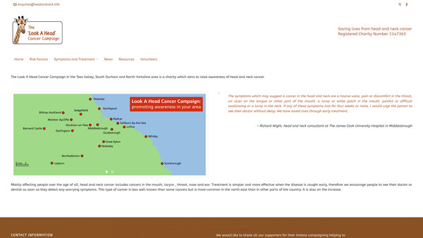 Screenshot of the The Look A Head Cancer Campaign website