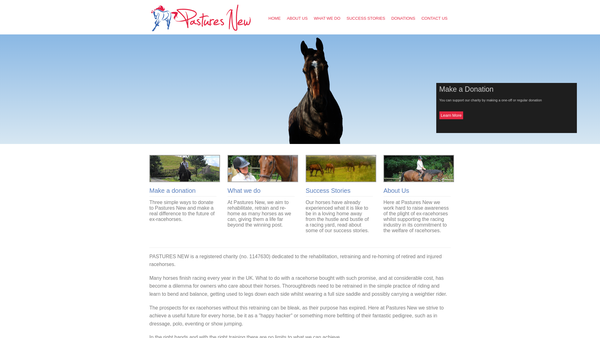 Screenshot of the Pastures New Racehorse Rehabilitation website
