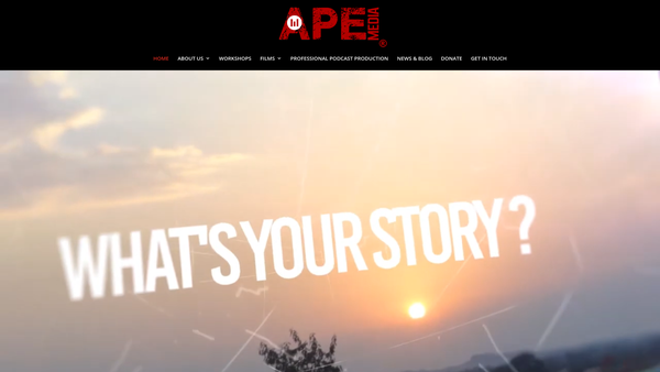 Screenshot of the Apple Pie Enterprises Ltd website
