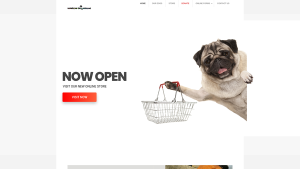 Screenshot of the Rainbowdogrescue website