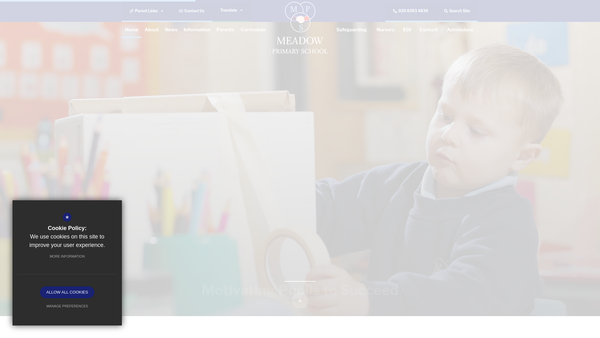Screenshot of the Meadow Primary School Trust Fund website