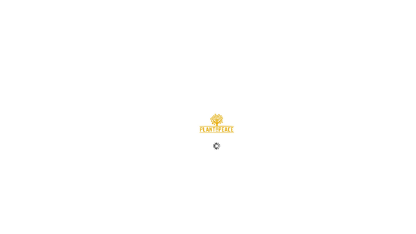 Screenshot of the Plant For Peace Foundation Ltd website