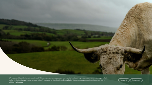 Screenshot of the Sustainable Food Trust website