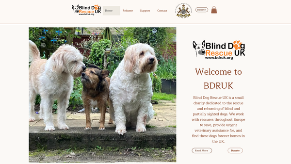 Screenshot of the Blind Dog Rescue UK website