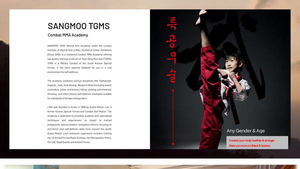 Screenshot of the London Institute Of Martial Arts website