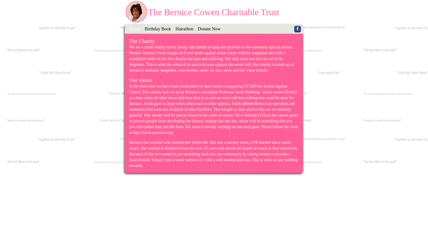 Screenshot of the The Bernice Cowen Charitable Trust website