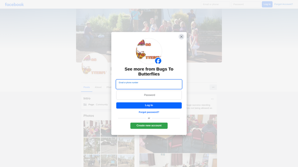 Screenshot of the Bugs 2 Butterflies website