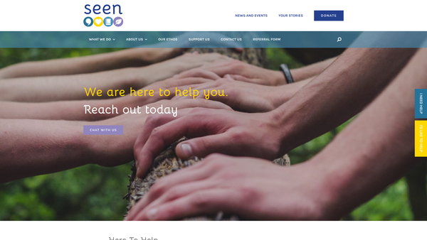 Screenshot of the Seen Ltd website