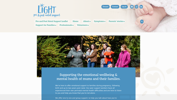 Screenshot of the Light Peer Support (LTD) website