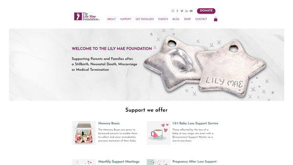 Screenshot of the The Lily Mae Foundation website