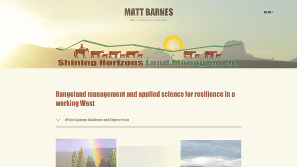 Screenshot of the Shining Horizons Foundation website