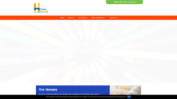 Screenshot of the Towers Tiny Tots website