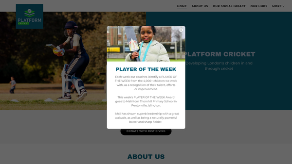 Screenshot of the Tower Hamlets Youth Sport Foundation website