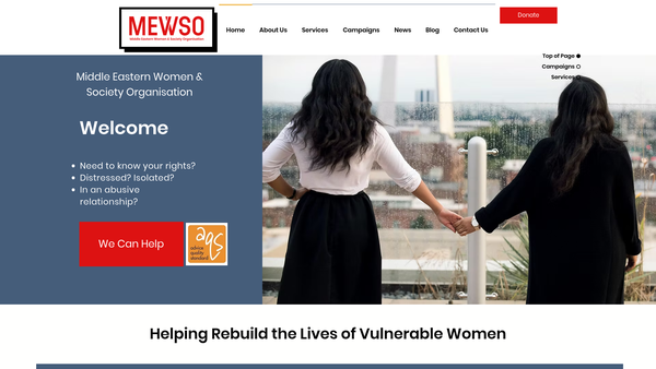 Screenshot of the Middle Eastern Women And Society Organisation website