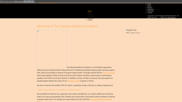 Screenshot of the Olympia-Wafula Foundation website