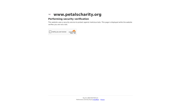 Screenshot of the Pregnancy Expectations Trauma And Loss Society website