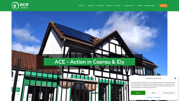 Screenshot of the ACE (Action In Caerau And Ely) website
