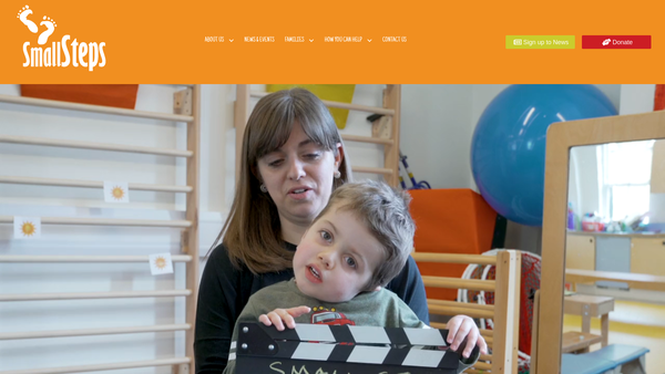 Screenshot of the Small Steps Sfp website