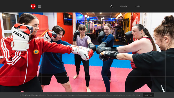 Screenshot of the UK Shaolin Temple Limited website